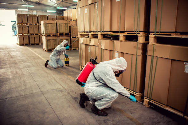 Best Pest Control Near Me  in Borden, IN