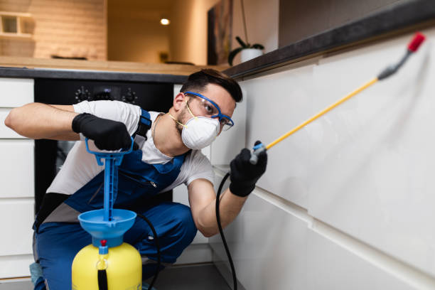 Best Affordable Pest Control Services  in Borden, IN
