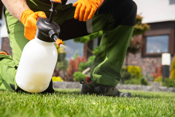 Best Pest Control Near Me in Borden, IN