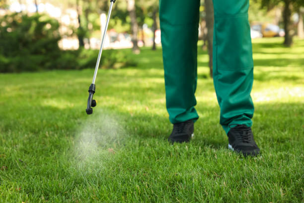 Best Commercial Pest Control Services  in Borden, IN
