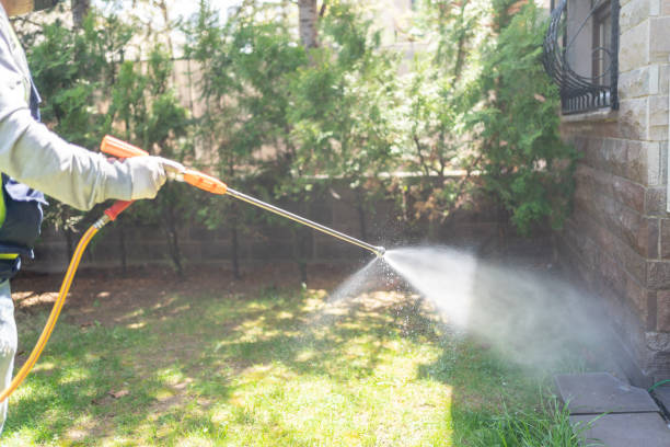 Best Pest Prevention Services  in Borden, IN