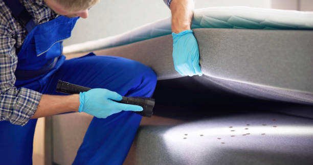 Best Exterminator Services  in Borden, IN