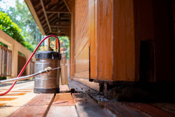 Best Best Pest Control Companies  in Borden, IN
