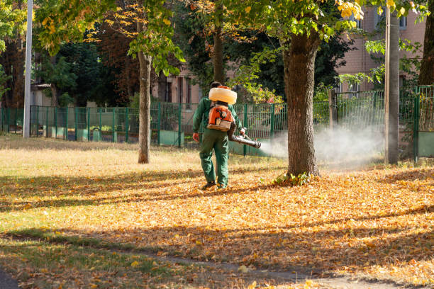 Wildlife Control Services in Borden, IN
