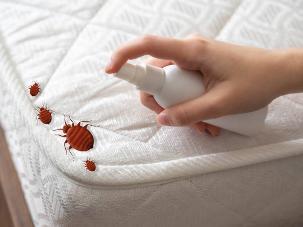 Best Best Pest Control Near Me  in Borden, IN