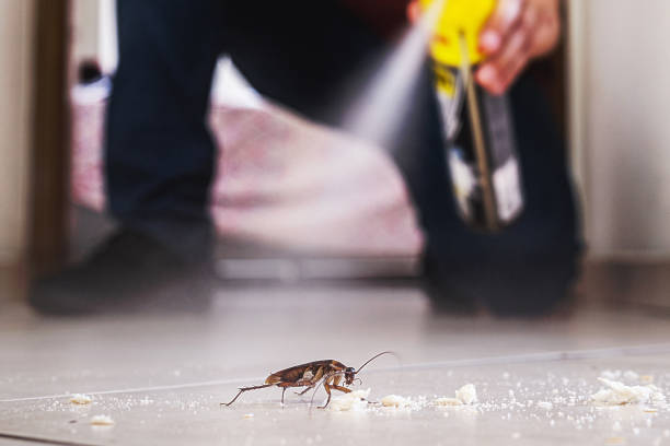 Best Pest Removal Services  in Borden, IN
