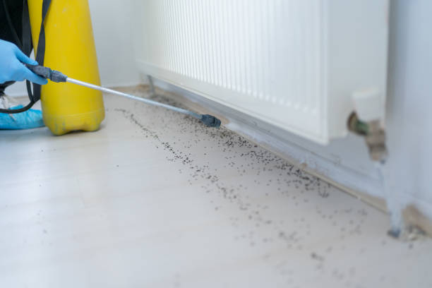 Best Best Pest Control Companies  in Borden, IN