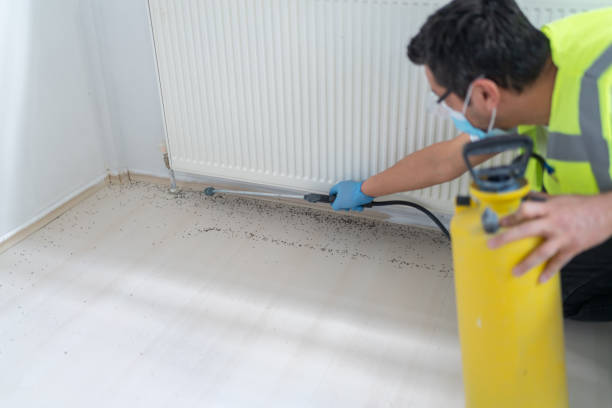 Best Emergency Pest Control  in Borden, IN