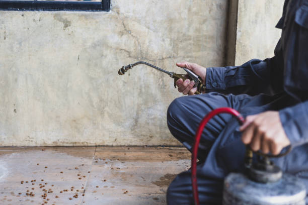 Best Pest Prevention Services  in Borden, IN
