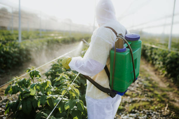 Best Wasp Removal Services  in Borden, IN